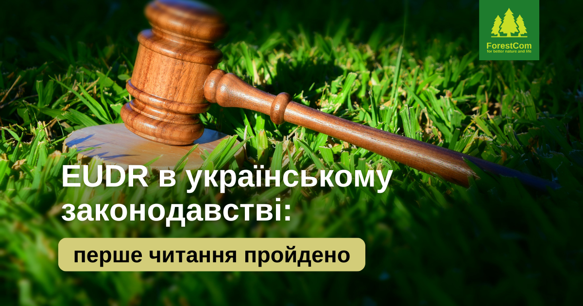 EUDR в українському законодавстві: перше читання пройдено