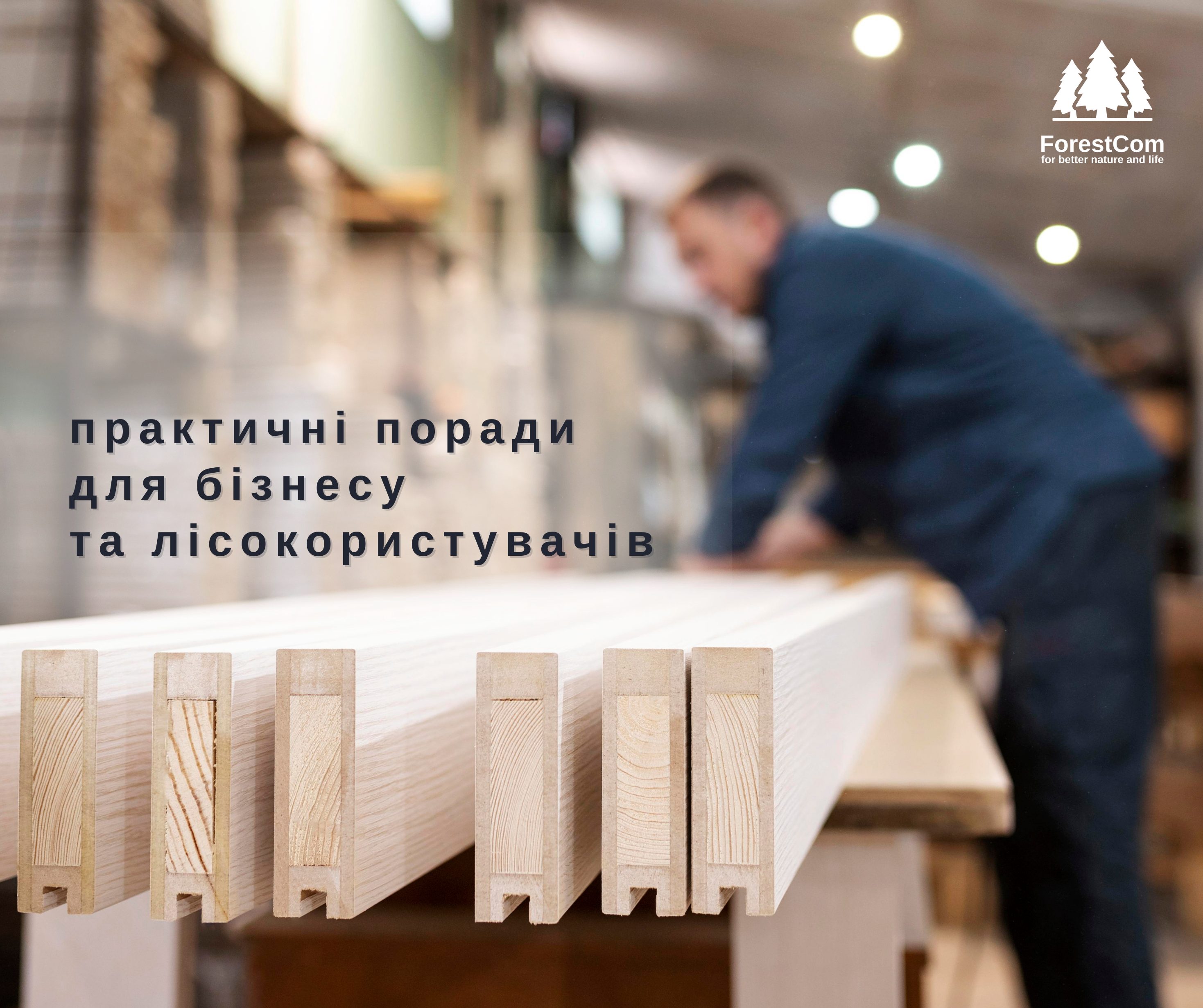 Як законодавство ЄС бореться із незаконною деревиною?