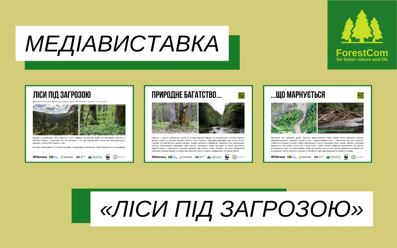 «Ліси під загрозою»: виставка про проблеми, які більше не можна ігнорувати