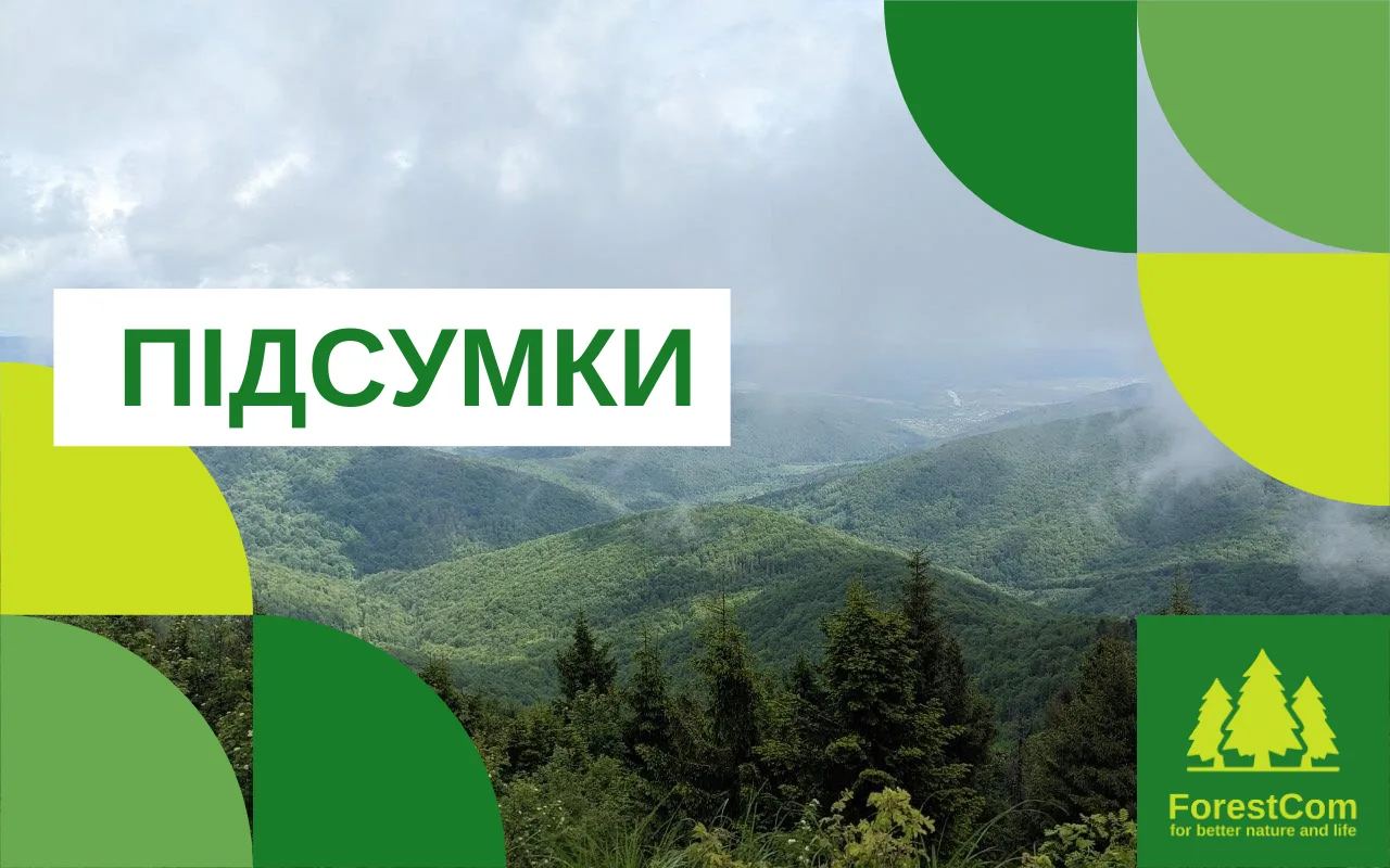 Підбиваємо підсумки року адвокації за ефективніший захист українських лісів