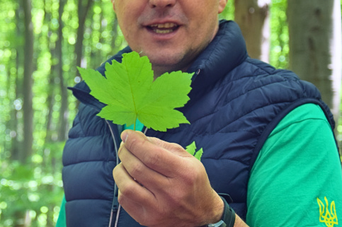 forestcom-30.05.26_3.jpg