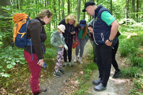 forestcom-30.05.26_9.jpg