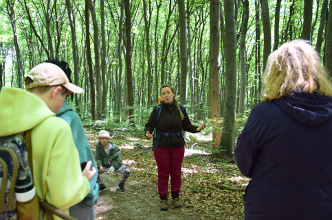 forestcom-30.05.26_2.jpg