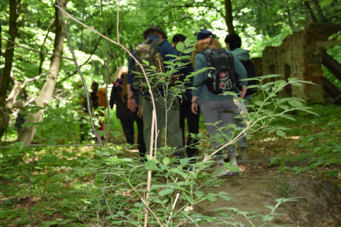 forestcom-30.05.26_17.jpg