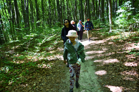 forestcom-30.05.26_4.jpg