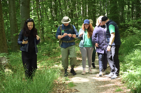 forestcom-30.05.26_11.jpg