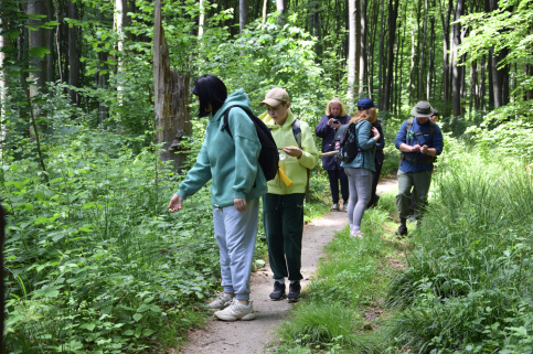 forestcom-30.05.26_10.jpg