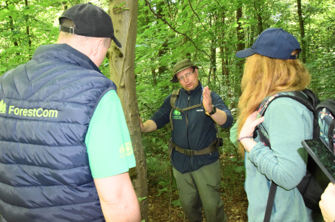 forestcom-30.05.26_15.jpg