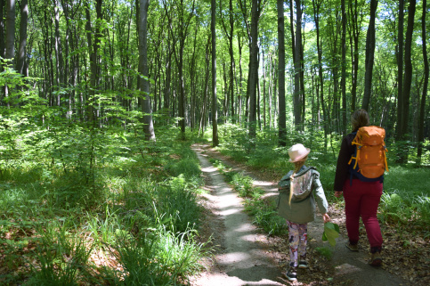 forestcom-30.05.26_8.jpg